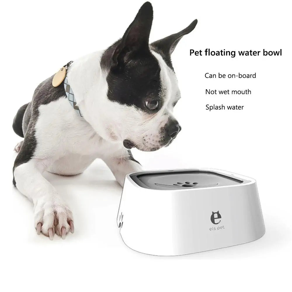 Dog Drinking Water Bowl