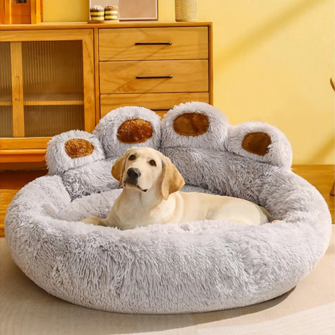 Dog Sofa Beds